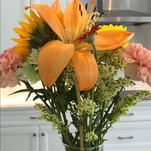 Meet your Posher, Karla